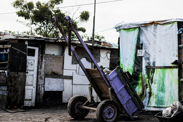 Foto: Pedro Ramos/Especial para F5News